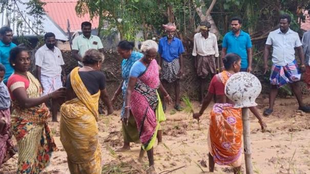 kurinjipadi-seedling-planting-protest-demanding-road-repair-on-annathanapatti-panchayat