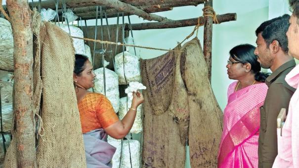 self-help-group-women-earning-income-through-mushroom-farming-in-kanyakumari