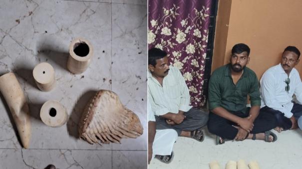 elephant-ivory-hoarding-at-home-on-vellore-interrogation-against-9-people-including-a-bjp-executive