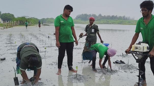 rameswaram-mangrove-afforestation-project-has-been-launched-at-pamban-kunthukal