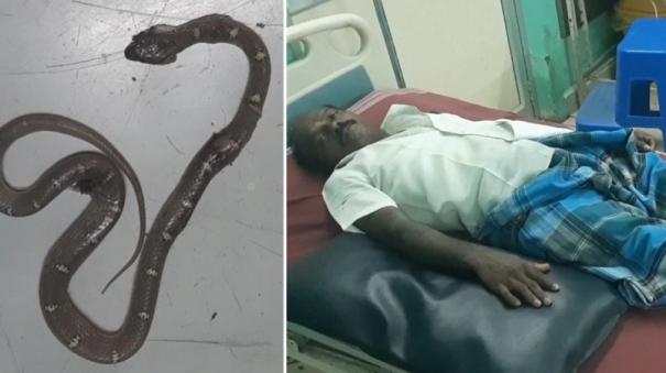 karur-farmer-came-for-treatment-after-killing-a-snake-bite