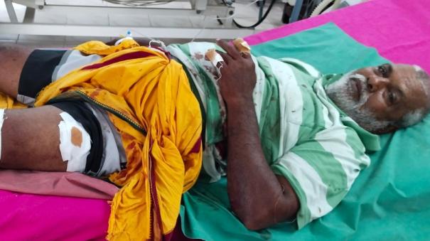 3-farmers-injured-on-wild-boar-attack-near-ettayapuram