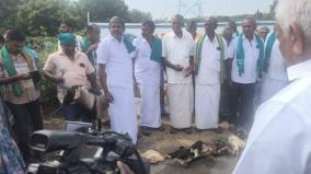 கால்நடைகளை வேட்டையாடும் தெருநாய்கள்: திருப்பூர் ஆட்சியர் அலுவலகத்தில் விவசாயிகள் குடியேறும் போராட்டம்