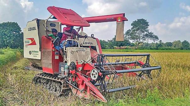 farmers-sell-samba-paddy-at-low-price-to-traders-in-thanjavur