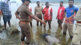 சங்கராபரணியில் குளிக்கச்சென்று மாயமான மாணவர்: மூன்று நாட்களுக்கு பின் சடலமாக மீட்பு