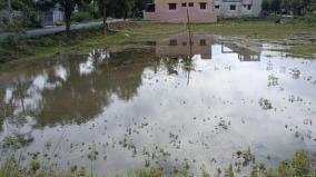 மழையில் சேதமடைந்த வீட்டை புதுப்பிக்கும் பணியை தொடங்கிய பெண்ணுக்கு வருவாய் துறை நோட்டீஸ்: ஆக்கிரமிப்பு நிலம் என்று கூறியதால் வாக்குவாதம்