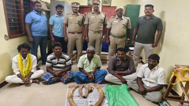 gang-tries-to-sell-two-pairs-of-elephant-tusks-in-mettur