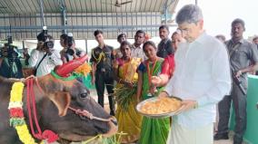 இருக்கும் வேலையை விட்டுவிட்டு விவசாயத்துக்கு திரும்ப ஆசையாக உள்ளது: பொங்கல் விழாவில் ஆளுநர் ஆர்.என்.ரவி கருத்து