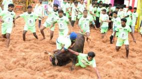 ஜல்லிக்கட்டு போட்டிகளில் சாதிபாகுபாடு காட்டப்பட்டதா? - மதுரை ஆட்சியர் சொன்ன விளக்கம்