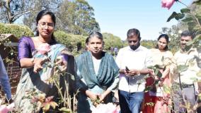 உதகை ரோஜா பூங்காவில் செடிகள் கவாத்து பணி தொடக்கம்