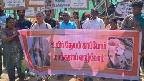 விழுப்புரம்: குட்டி ஈன்ற நாயை கொடூரமாக அடித்துக் கொன்றவர்களை கைது செய்யாததை கண்டித்து ஆர்ப்பாட்டம்